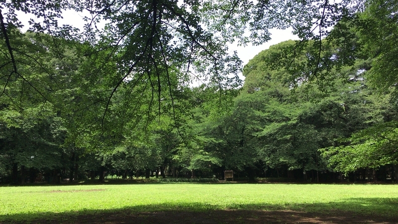 f:id:TOMASSOON:20190614122849j:plain f:id:TOMASSOON:20190614122849j:plain