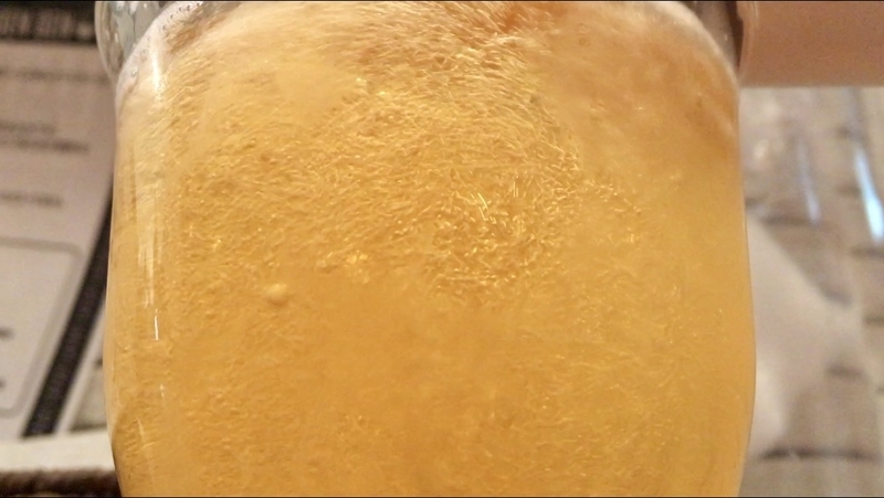 f:id:TOMASSOON:20200211144053j:plain