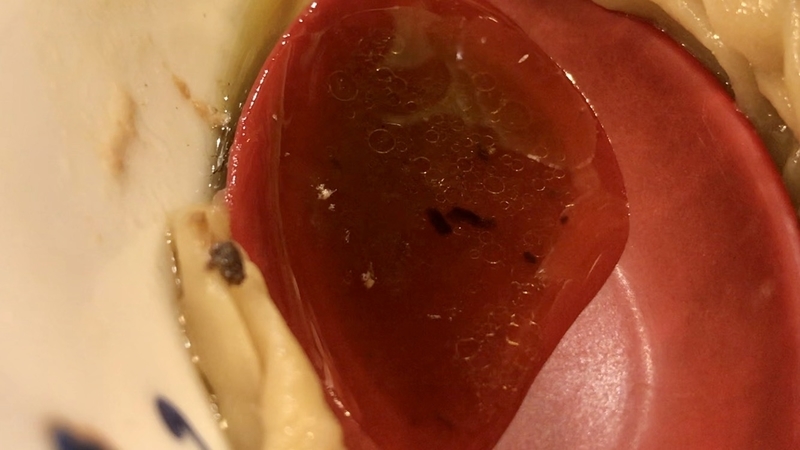 f:id:TOMASSOON:20210123194658j:plain