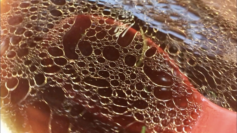 f:id:TOMASSOON:20210219222344j:plain