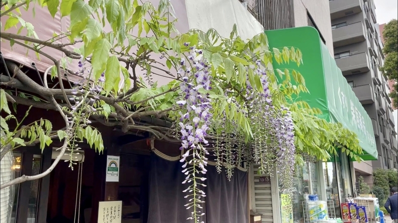 f:id:TOMASSOON:20210402192053j:plain