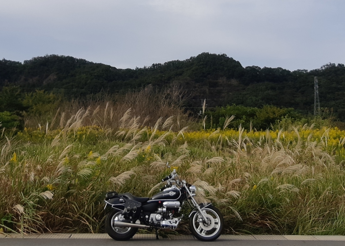f:id:TOMBI:20201018213618j:plain