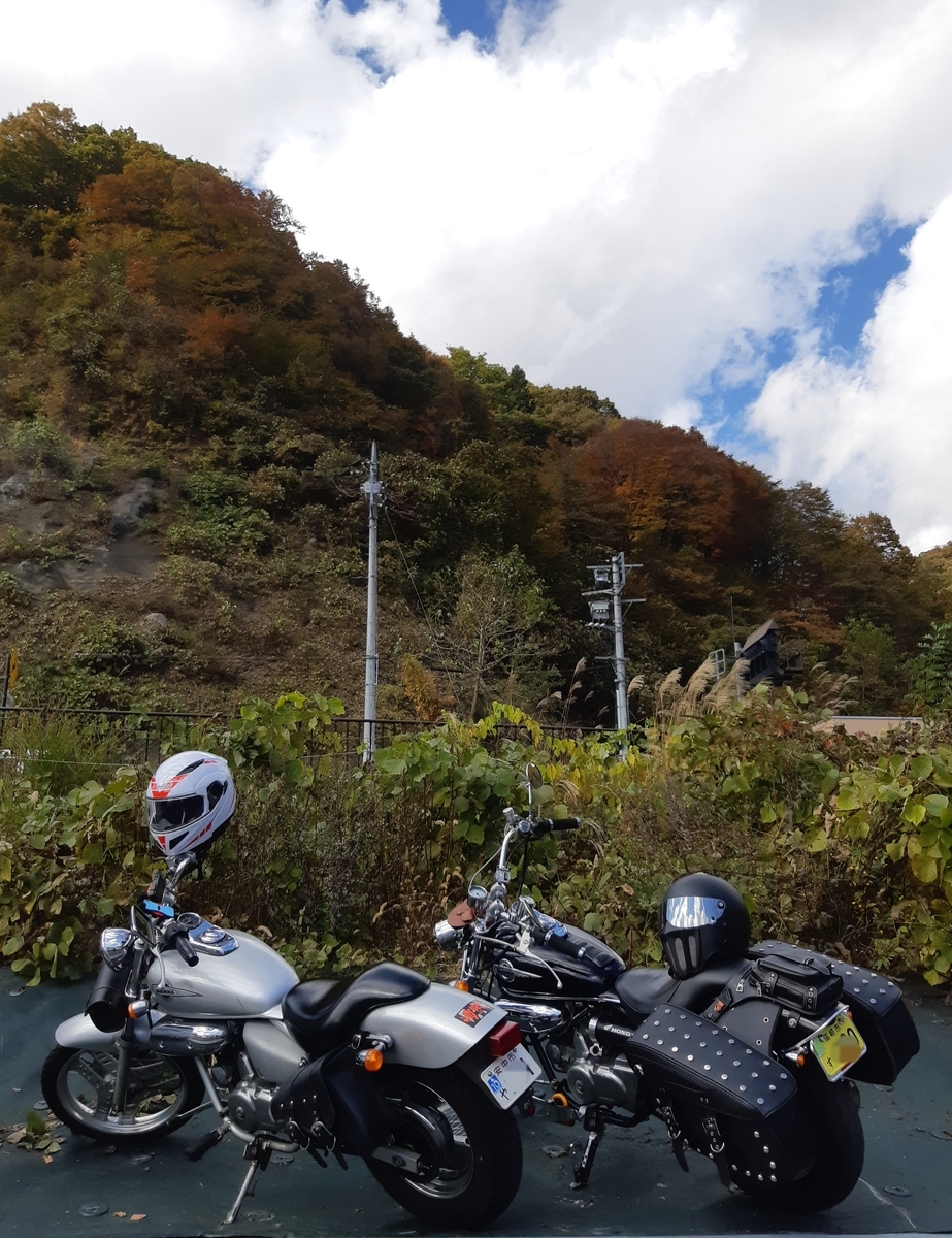 f:id:TOMBI:20201105122811j:plain f:id:TOMBI:20201105122811j:plain
