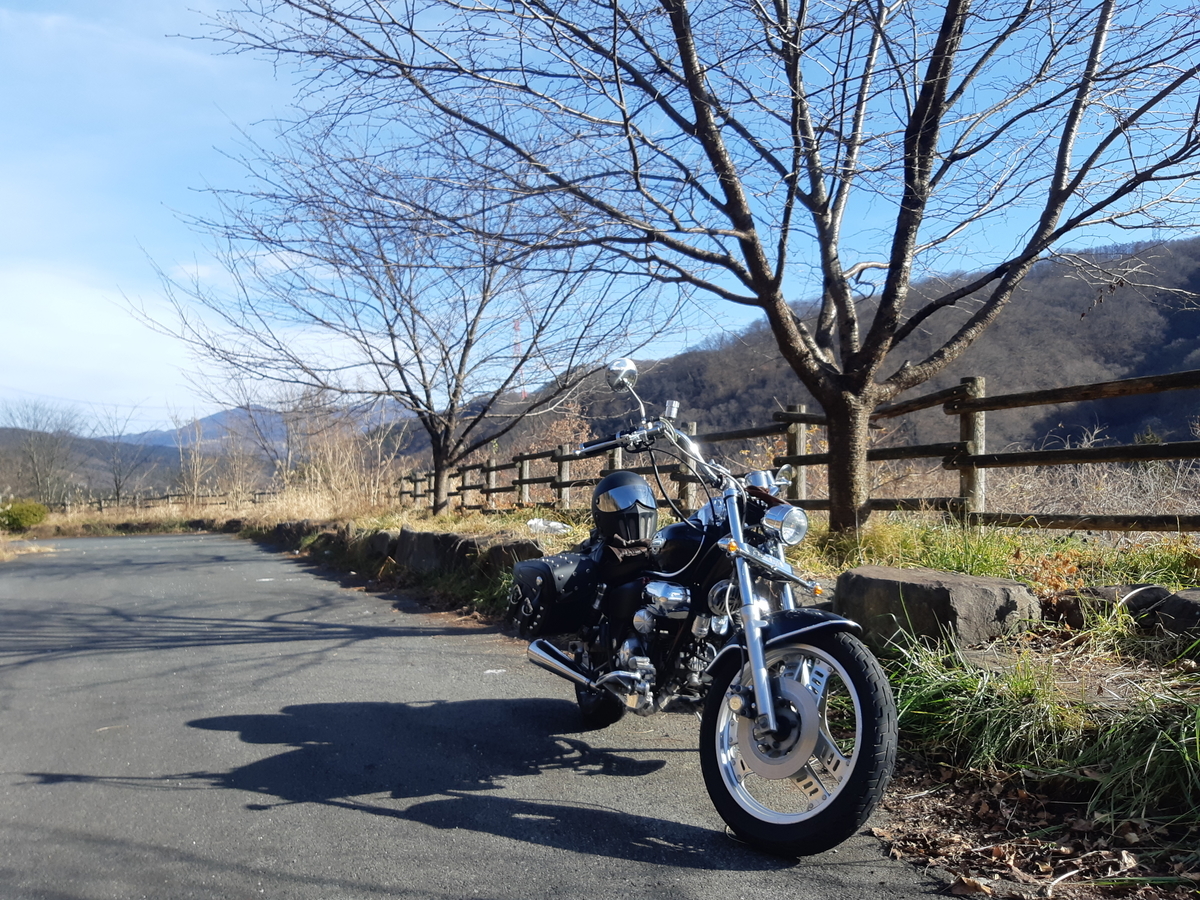 f:id:TOMBI:20201212171736j:plain