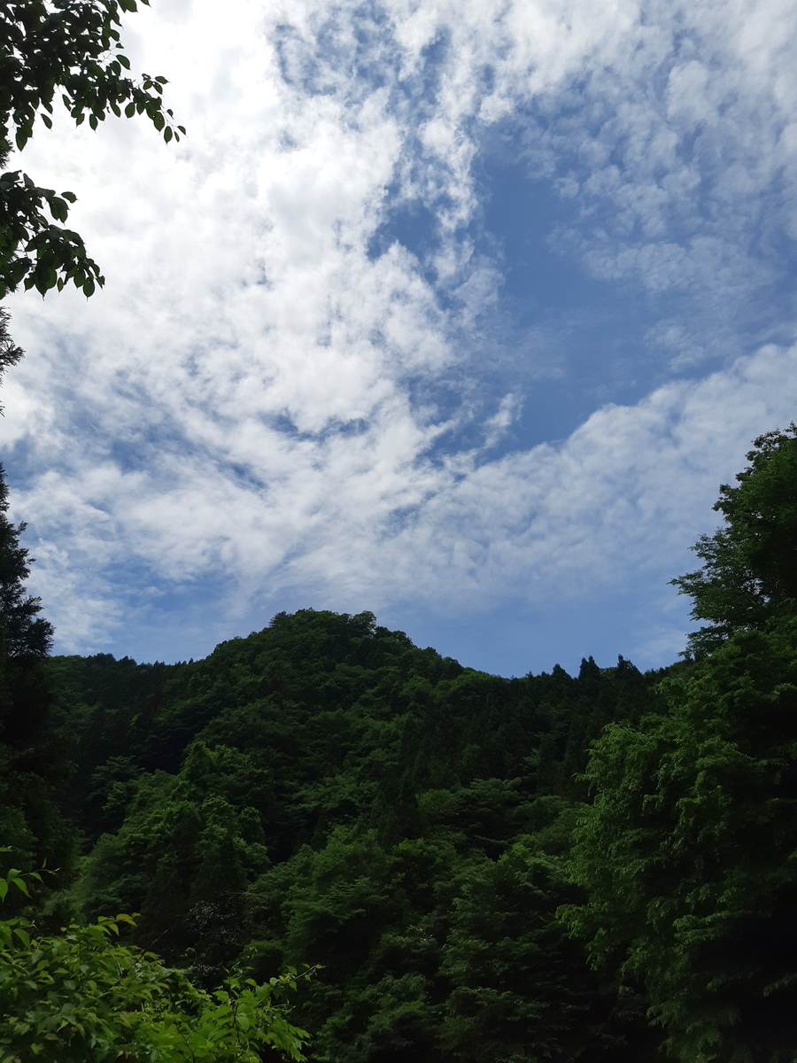 f:id:TOMBI:20210613005130j:plain