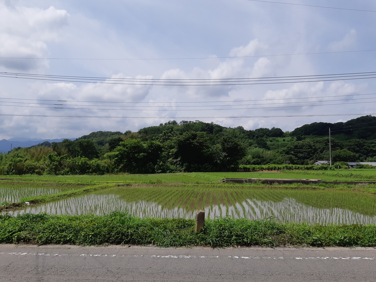 f:id:TOMBI:20210627115917j:plain