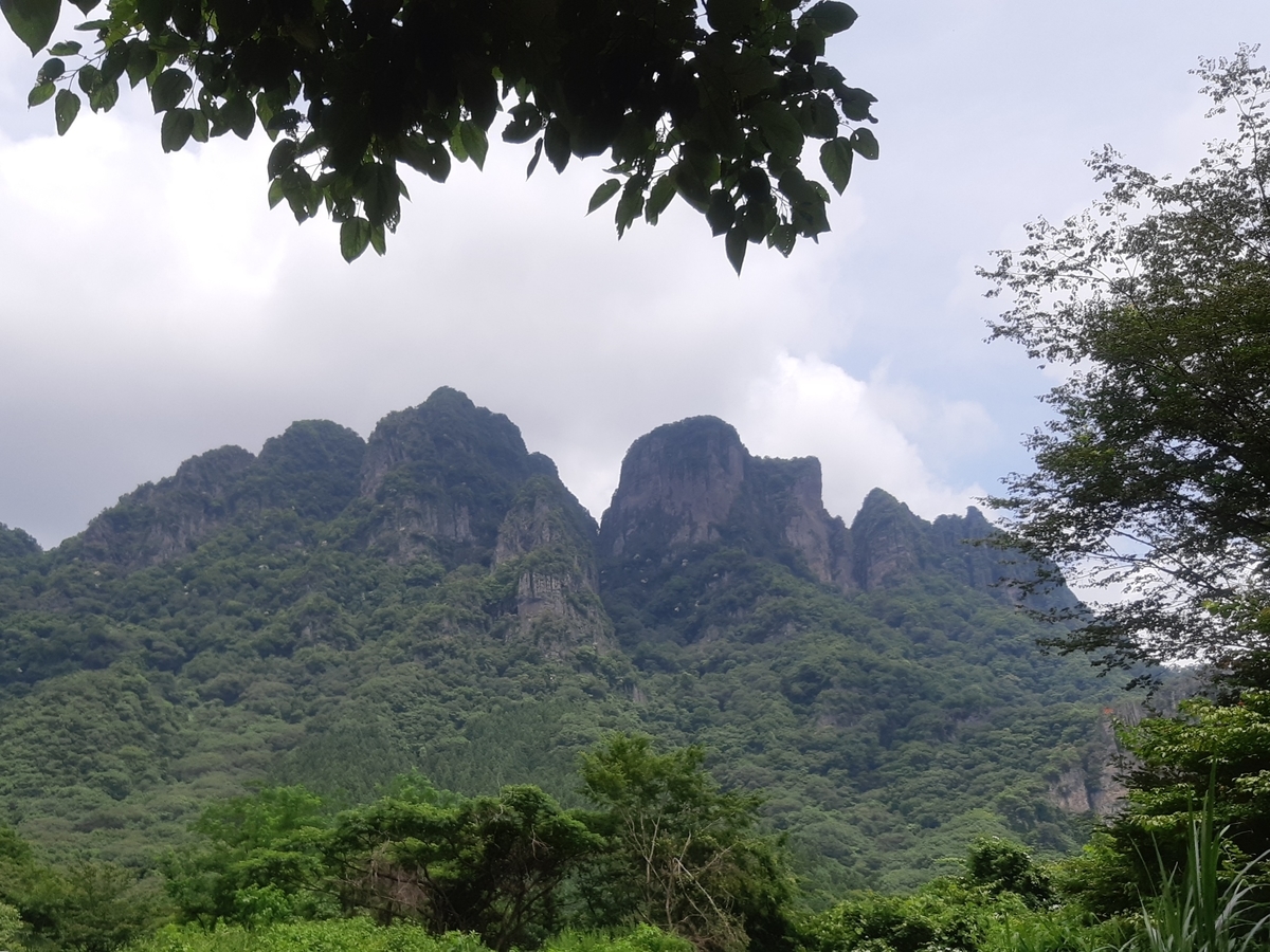 f:id:TOMBI:20210627150809j:plain