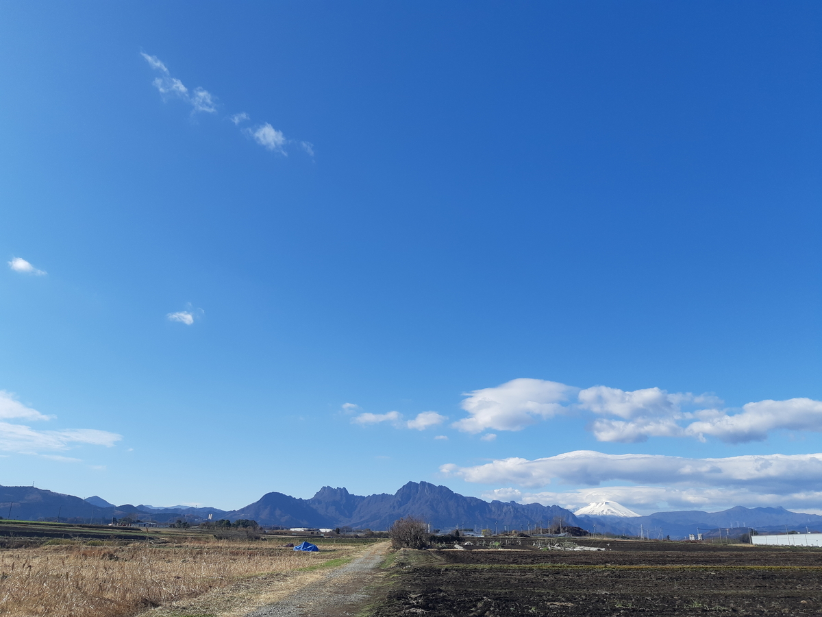 f:id:TOMBI:20211215203715j:plain