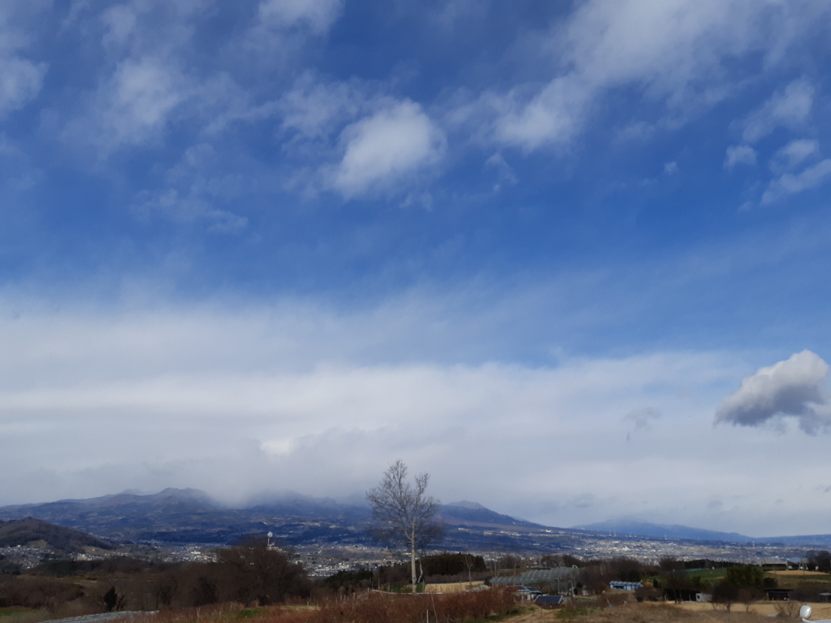 f:id:TOMBI:20211231160552j:plain