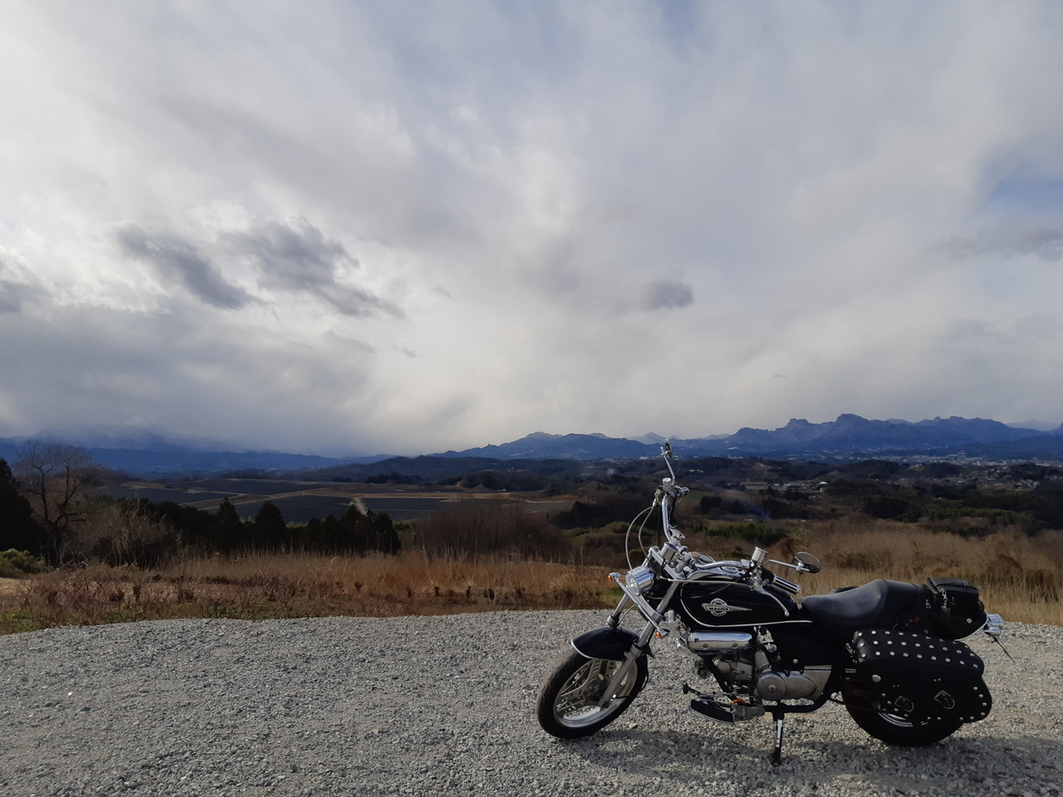 f:id:TOMBI:20211231162357j:plain