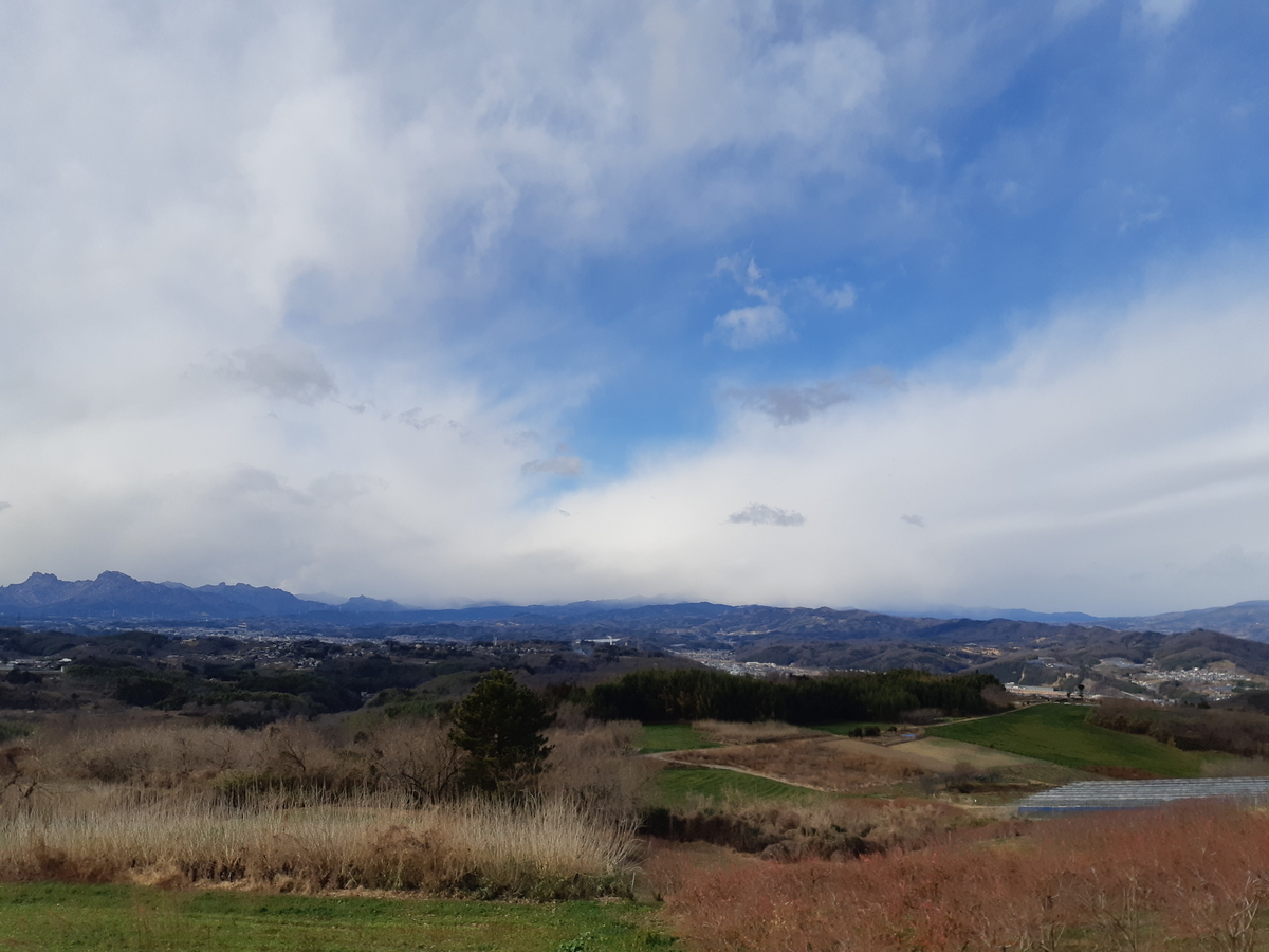 f:id:TOMBI:20211231165758j:plain