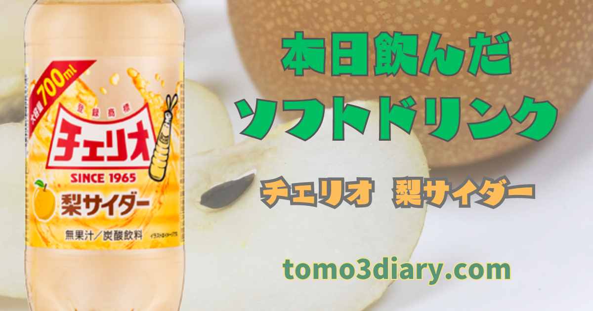 チェリオの大容量シリーズ【MEGA 700 MELON】を飲んでみた