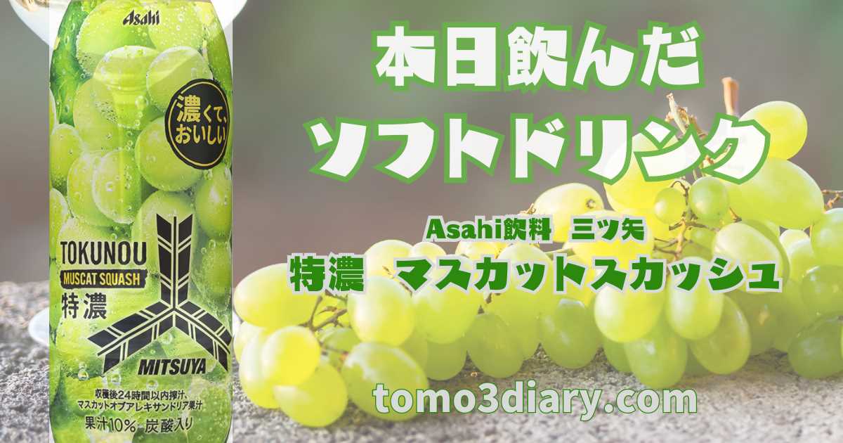 飲んでみたかったAsahi飲料【MITSUYA 特濃 マスカットスカッシュ】を