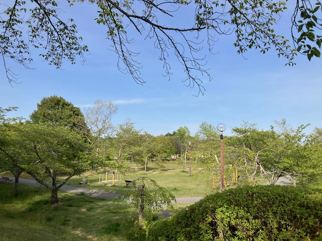 公園
