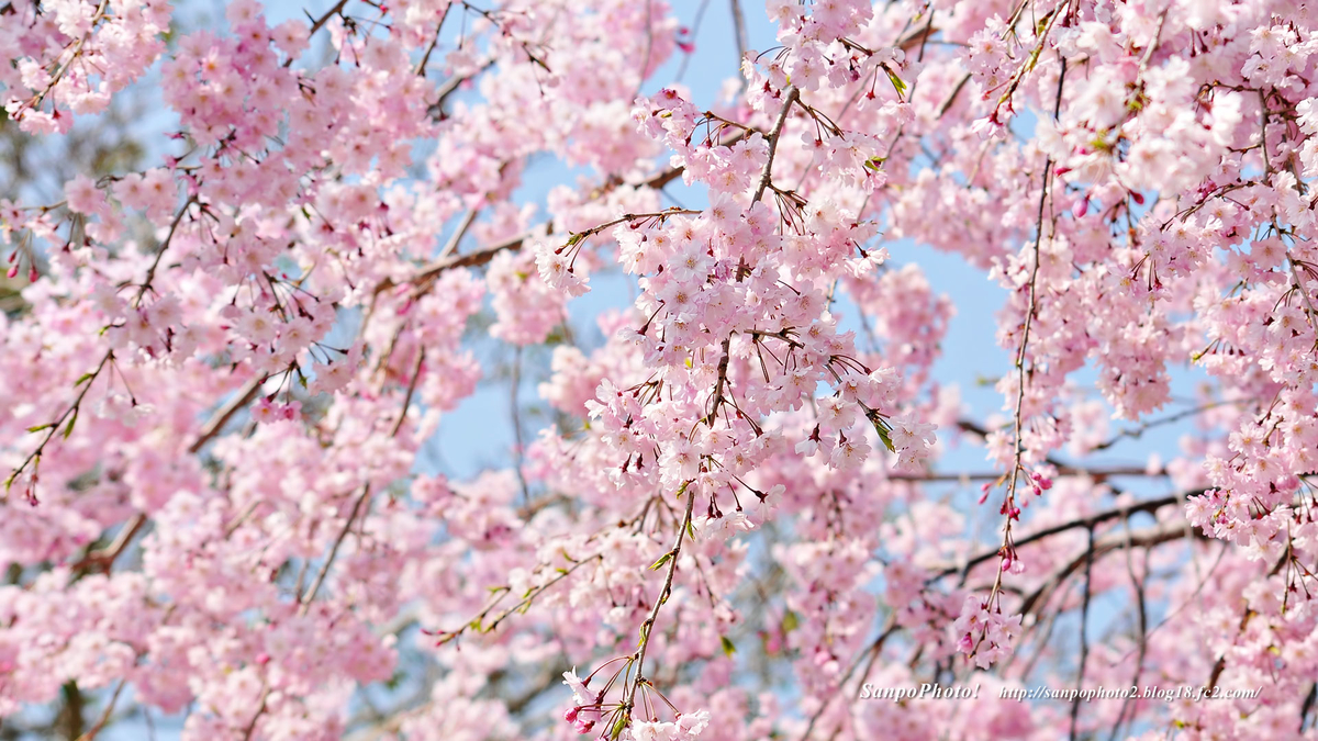 f:id:TOMOHIRO358:20210401204429j:plain