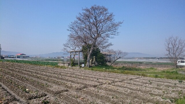 f:id:TOMOkun:20180329232603j:plain