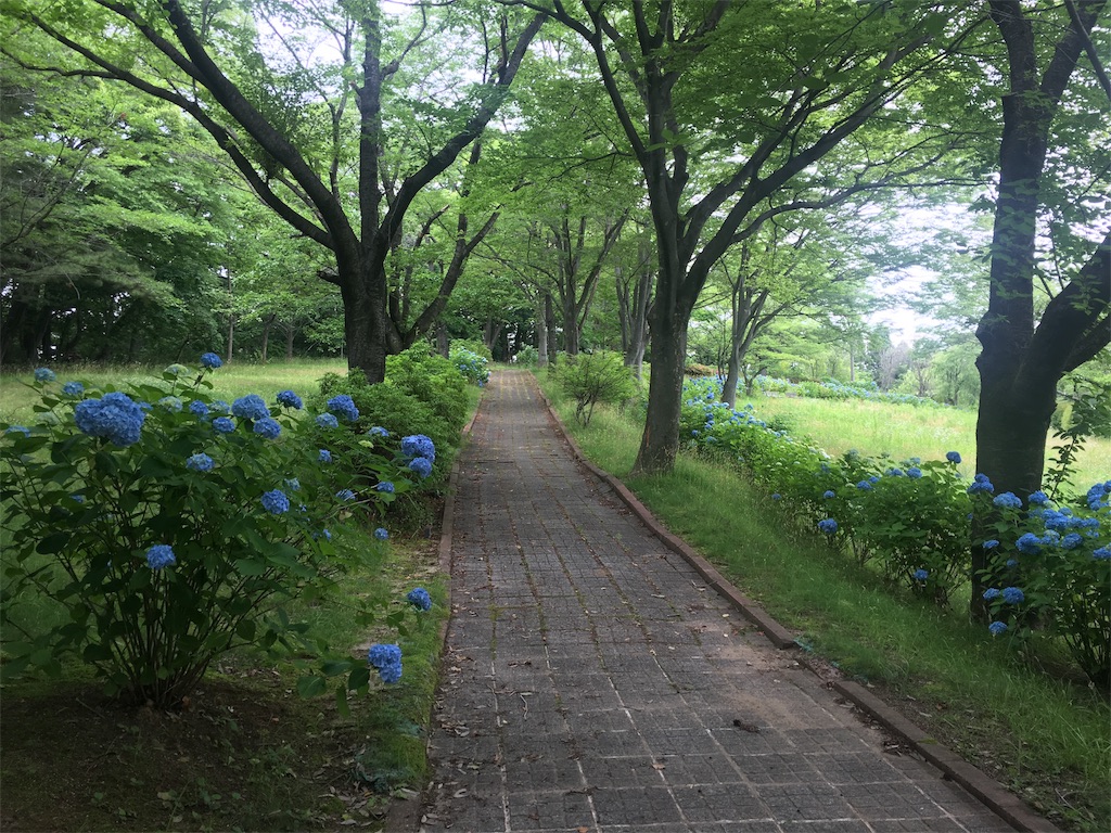 f:id:TOMSAI:20170619203351j:plain