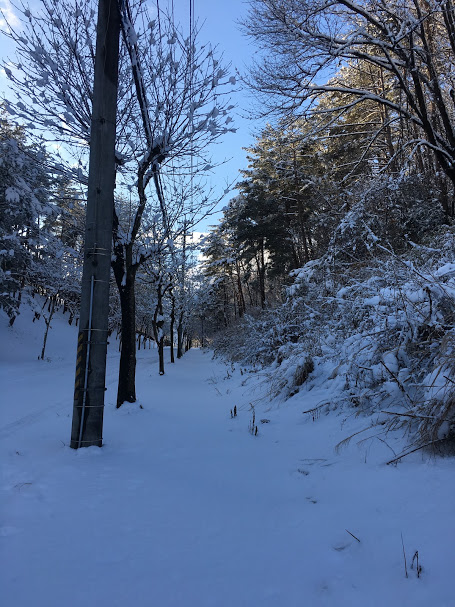 f:id:TOMSAI:20180105183637j:plain f:id:TOMSAI:20180105183637j:plain