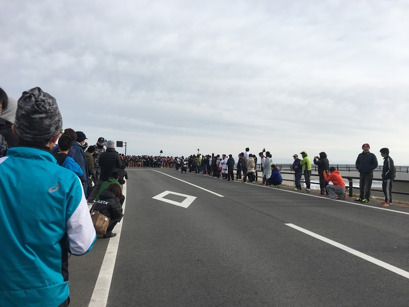 f:id:TOMSAI:20180129163938j:plain f:id:TOMSAI:20180129163938j:plain