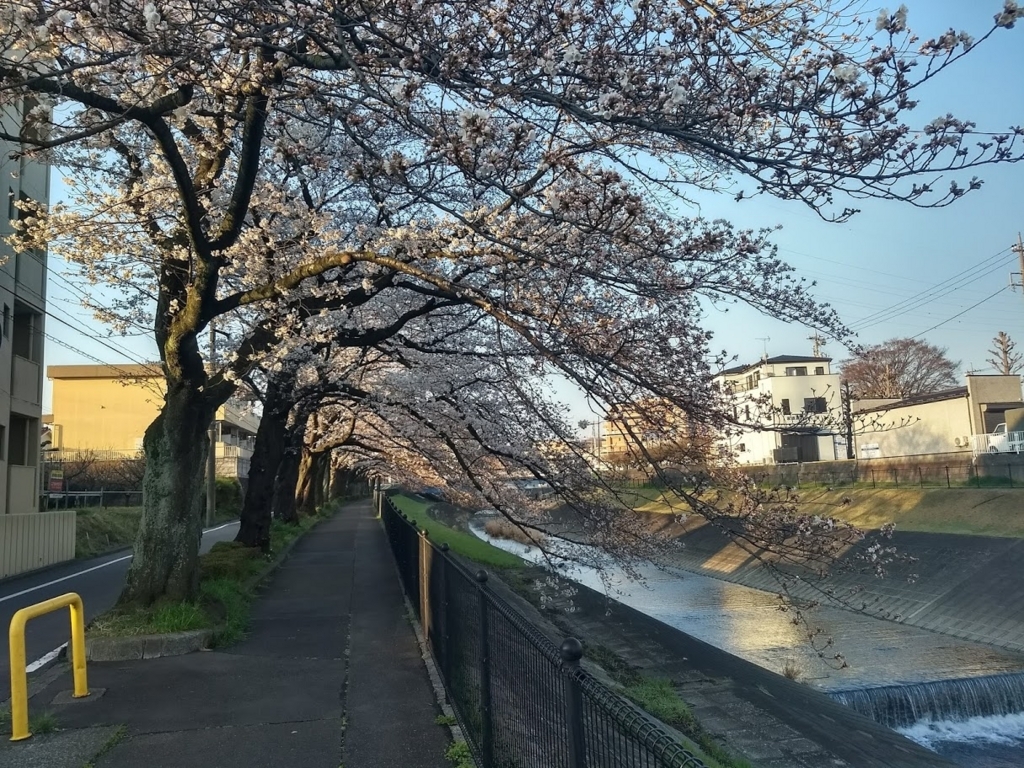 f:id:TOMSAI:20180326173227j:plain f:id:TOMSAI:20180326173227j:plain