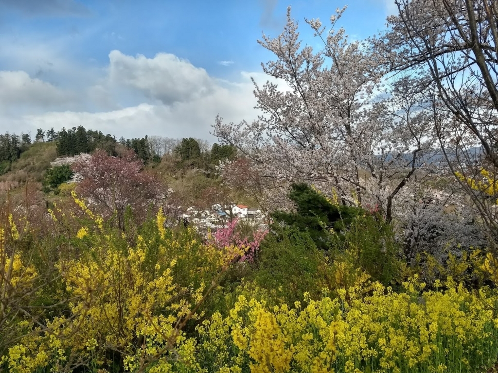 f:id:TOMSAI:20180409173437j:plain f:id:TOMSAI:20180409173437j:plain