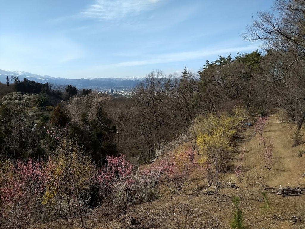 f:id:TOMSAI:20180409174306j:plain f:id:TOMSAI:20180409174306j:plain