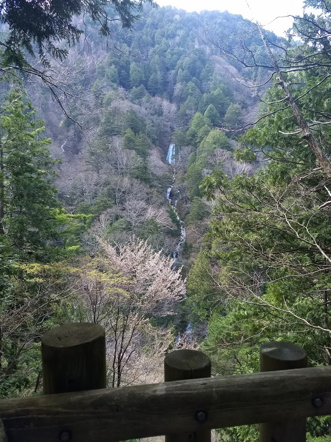 f:id:TOMSAI:20180507191620j:plain