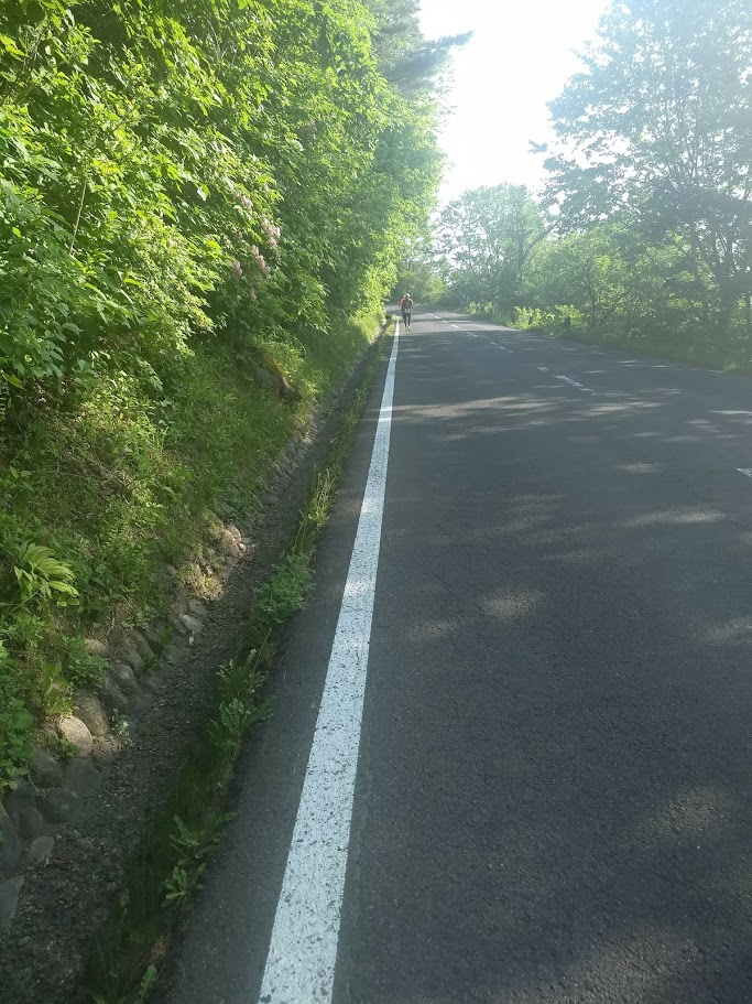 f:id:TOMSAI:20180530165550j:plain f:id:TOMSAI:20180530165550j:plain
