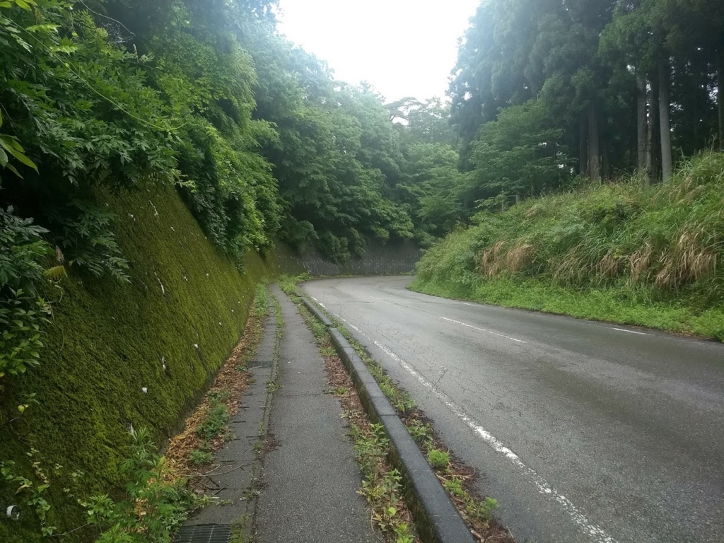 f:id:TOMSAI:20180625170715j:plain