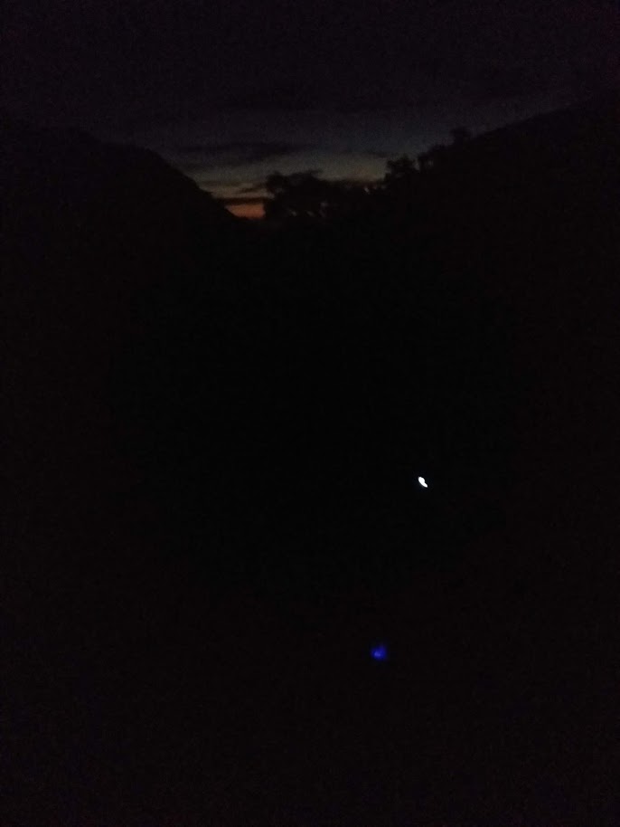 f:id:TOMSAI:20180820161729j:plain