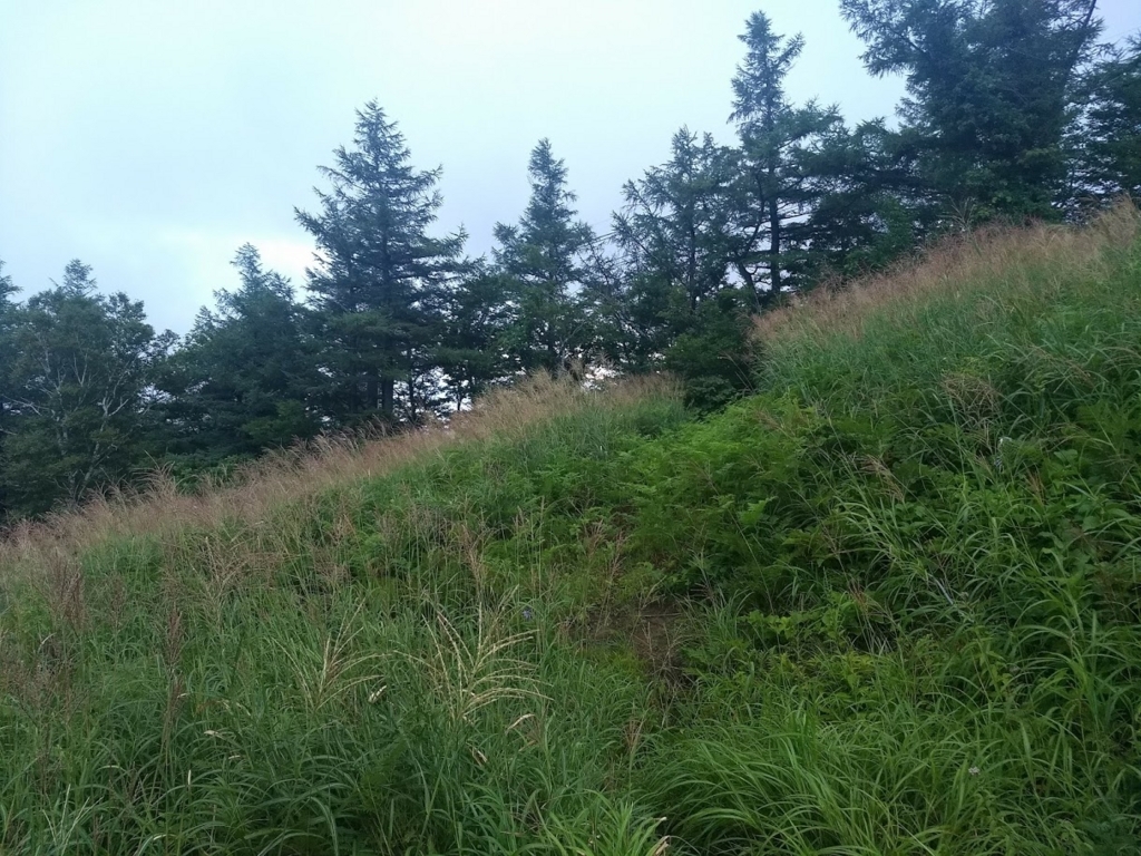 f:id:TOMSAI:20180821183932j:plain f:id:TOMSAI:20180821183932j:plain