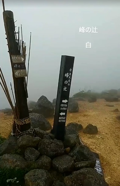 f:id:TOMSAI:20180821191247j:plain f:id:TOMSAI:20180821191247j:plain