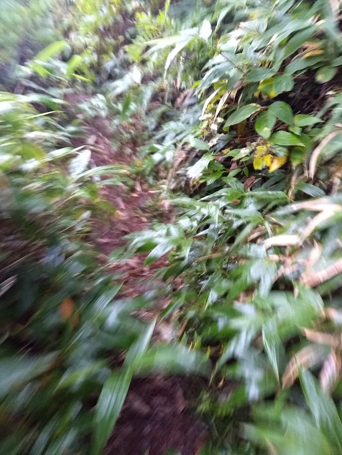 f:id:TOMSAI:20180904193116j:plain f:id:TOMSAI:20180904193116j:plain