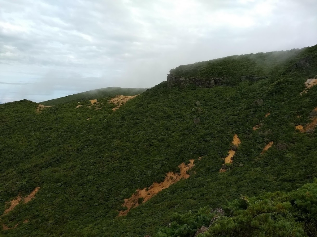 f:id:TOMSAI:20180905162332j:plain f:id:TOMSAI:20180905162332j:plain