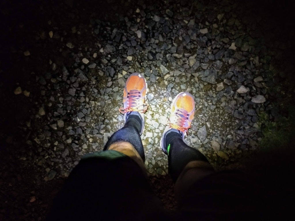 f:id:TOMSAI:20181105141026j:plain