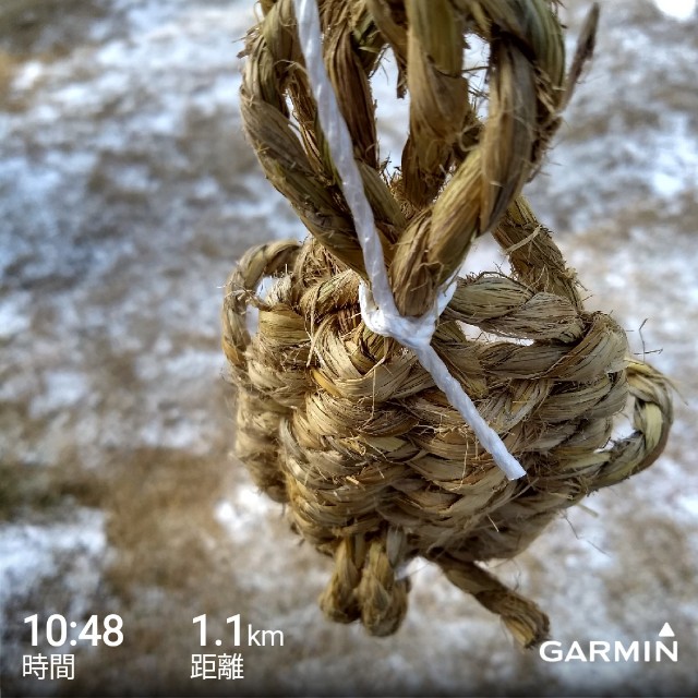 f:id:TOMSAI:20190210144806j:image
