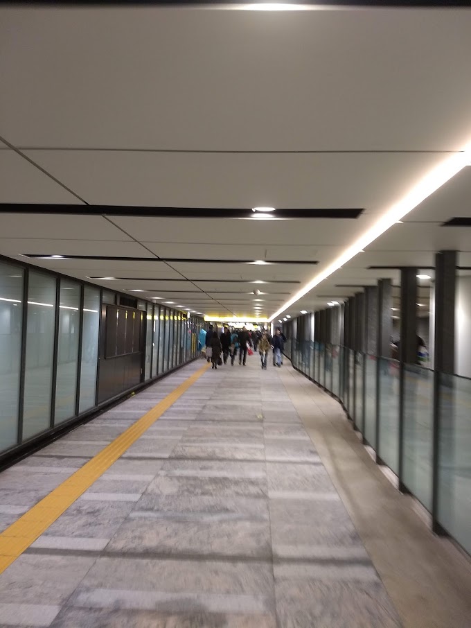 f:id:TOMSAI:20190311161105j:plain