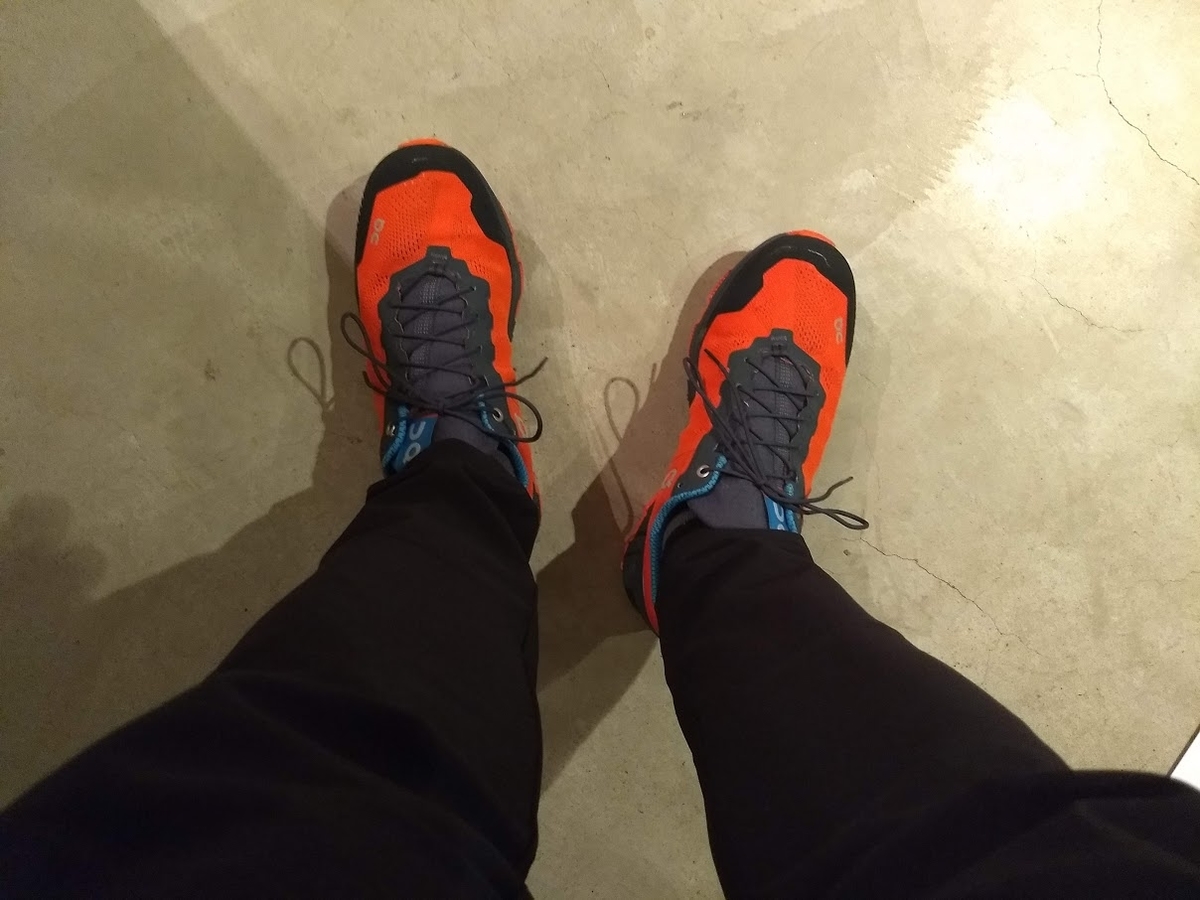 f:id:TOMSAI:20190403191104j:plain
