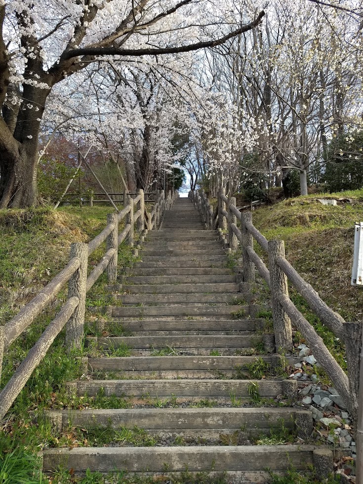 f:id:TOMSAI:20190419101513j:plain f:id:TOMSAI:20190419101513j:plain