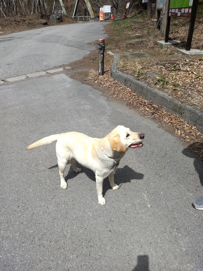 f:id:TOMSAI:20190507170208j:plain f:id:TOMSAI:20190507170208j:plain