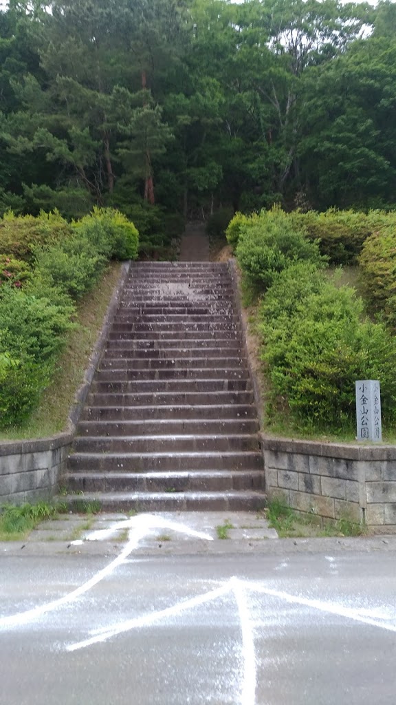 f:id:TOMSAI:20190520153727j:plain f:id:TOMSAI:20190520153727j:plain
