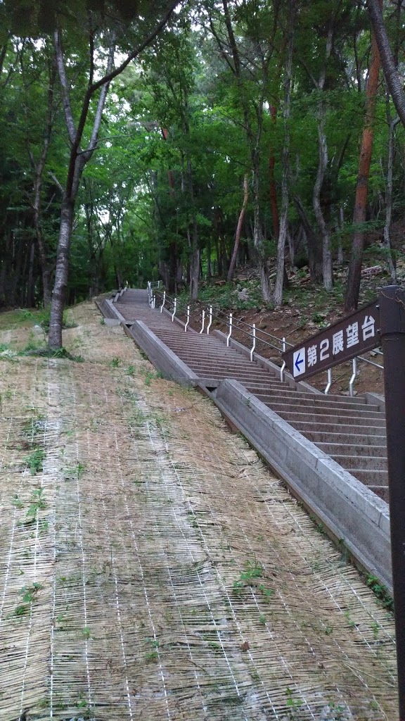f:id:TOMSAI:20190520154312j:plain f:id:TOMSAI:20190520154312j:plain