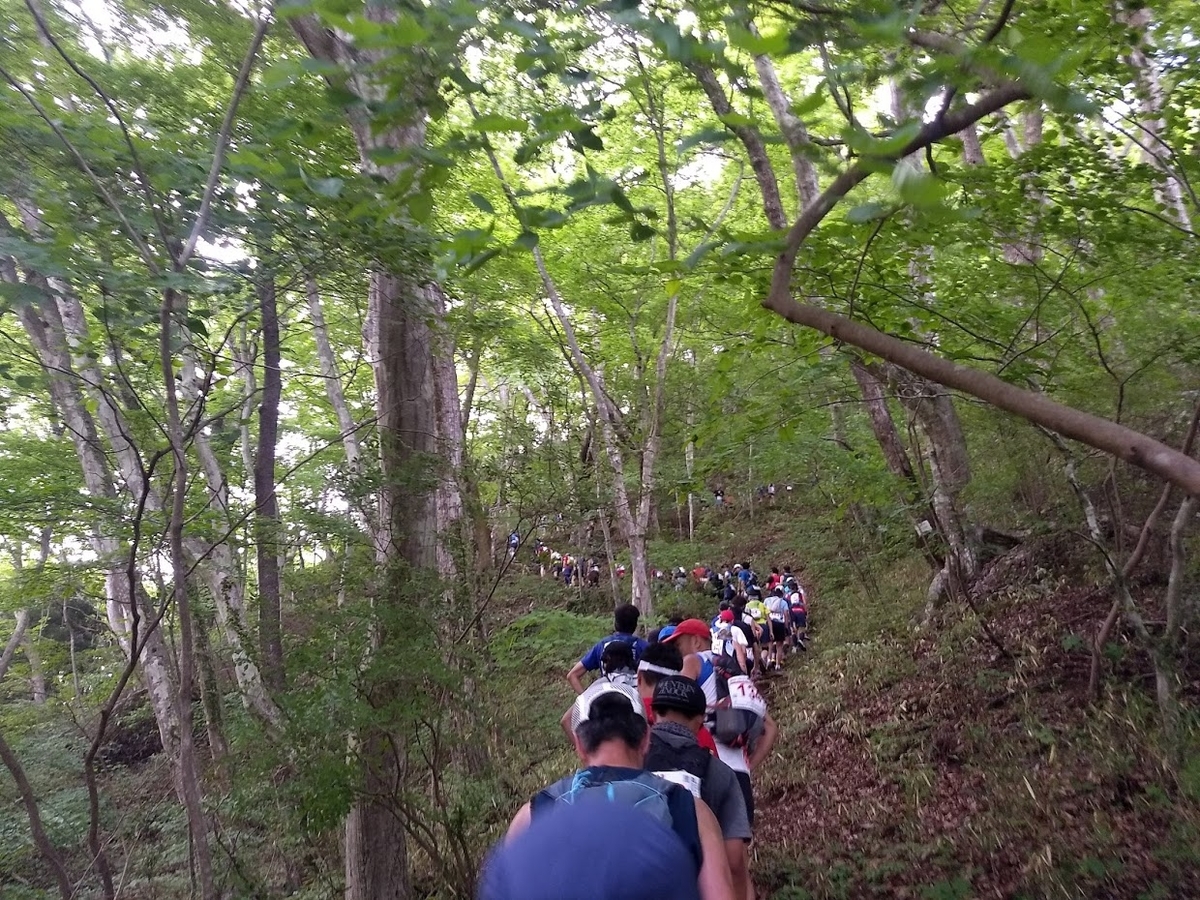 f:id:TOMSAI:20190603171812j:plain f:id:TOMSAI:20190603171812j:plain