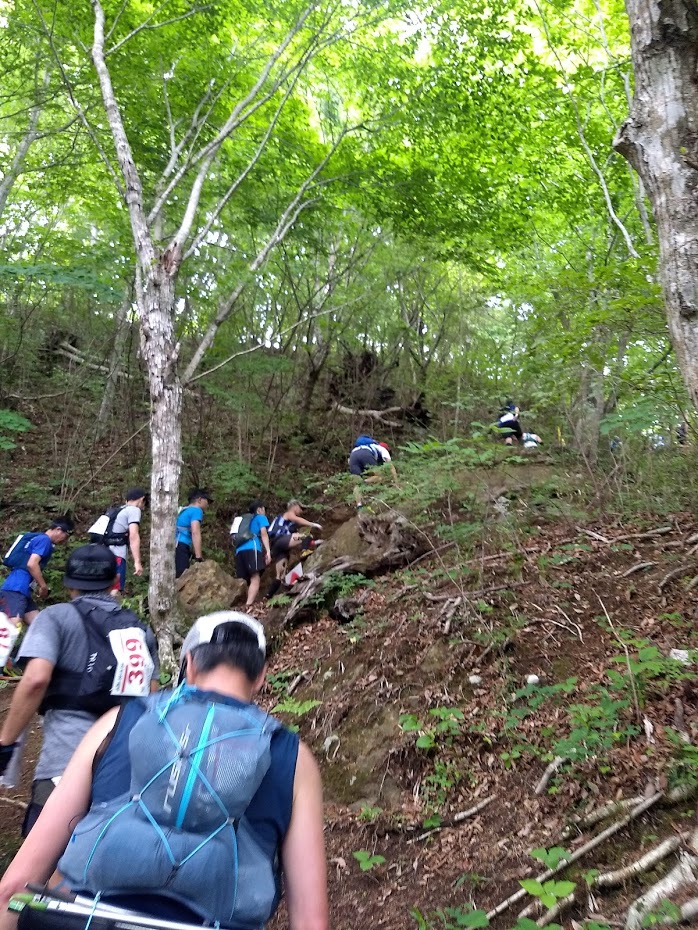 f:id:TOMSAI:20190603171938j:plain f:id:TOMSAI:20190603171938j:plain