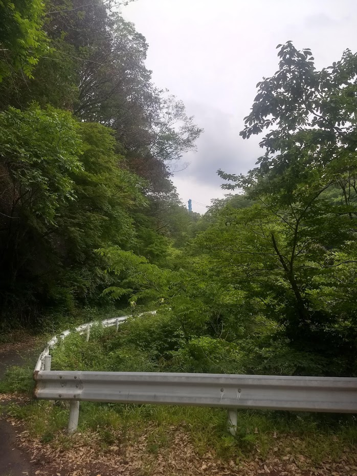 f:id:TOMSAI:20190603185812j:plain f:id:TOMSAI:20190603185812j:plain