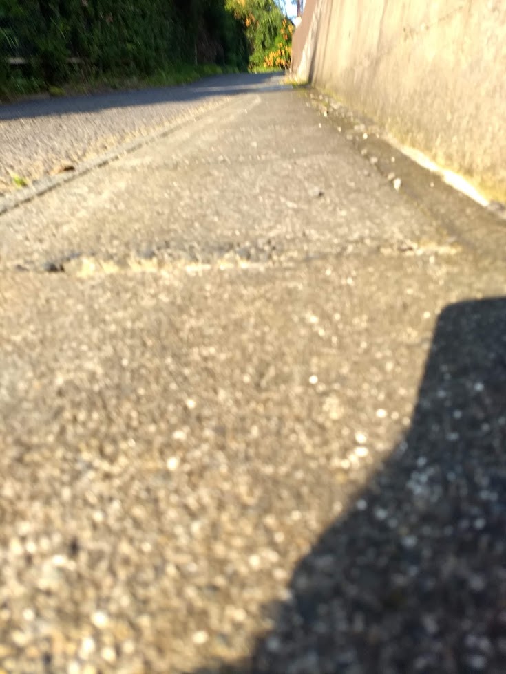f:id:TOMSAI:20190729150720j:plain f:id:TOMSAI:20190729150720j:plain