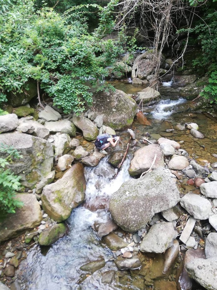 f:id:TOMSAI:20190805182424j:plain f:id:TOMSAI:20190805182424j:plain