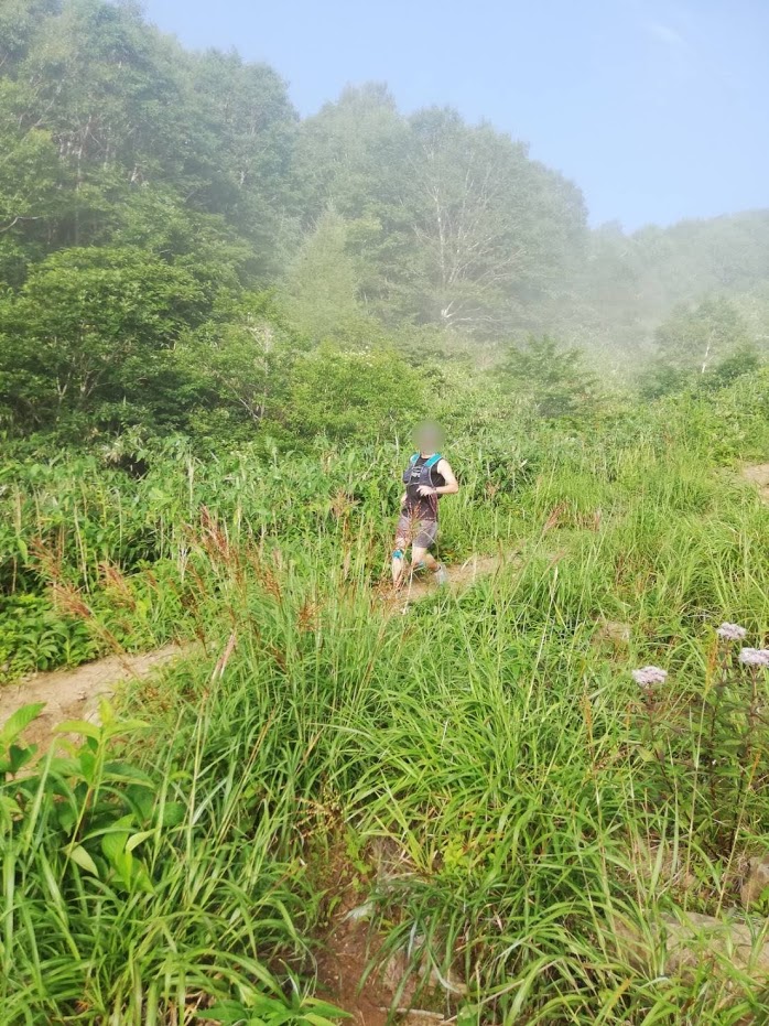 f:id:TOMSAI:20190805183405j:plain f:id:TOMSAI:20190805183405j:plain