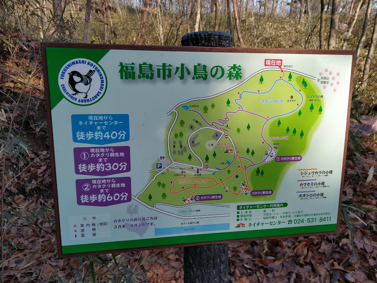 f:id:TOMSAI:20200316153020j:plain f:id:TOMSAI:20200316153020j:plain