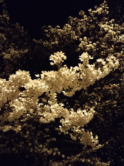 f:id:TOMSAI:20200404152945j:plain f:id:TOMSAI:20200404152945j:plain